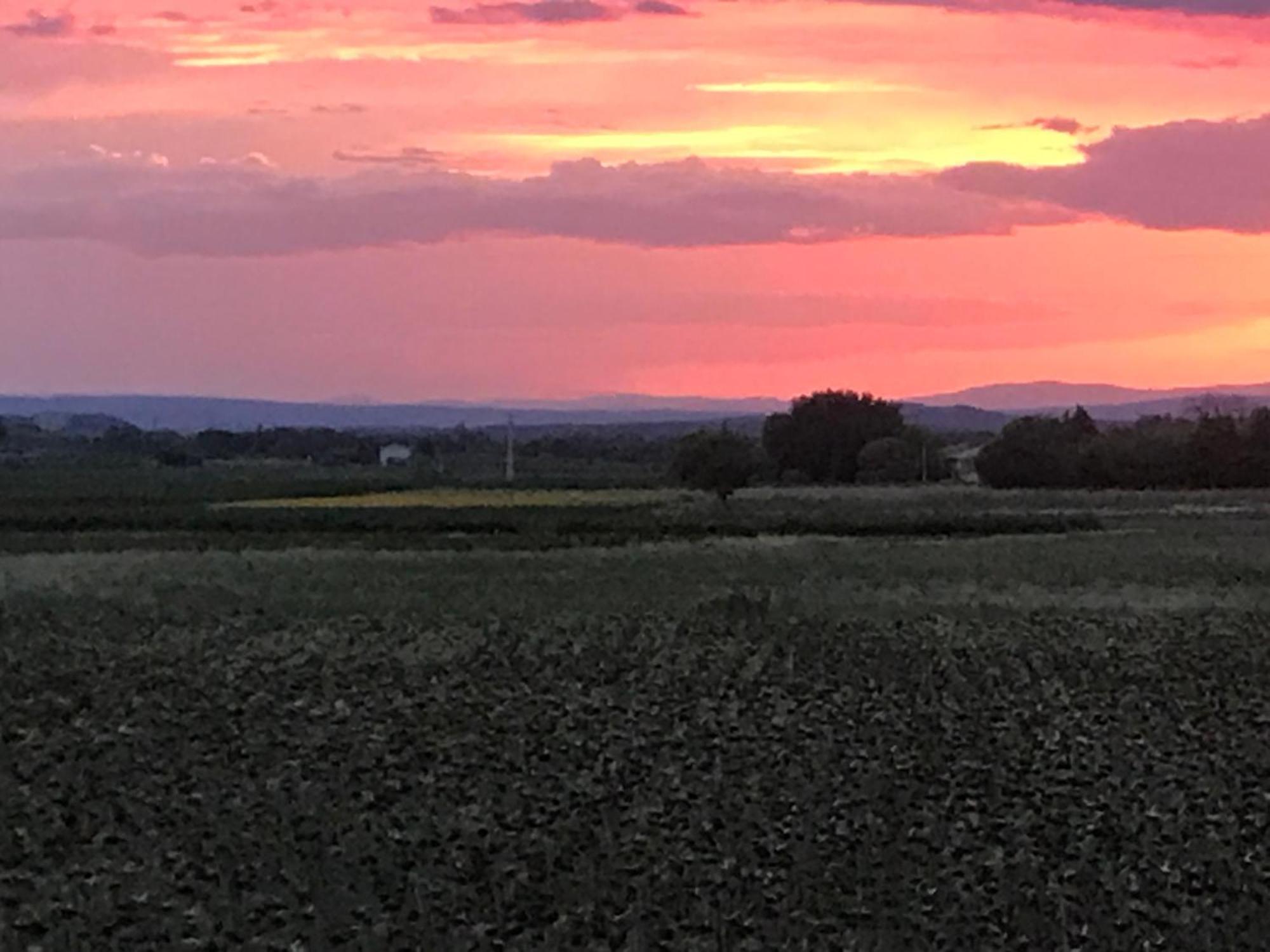 Appartamento Le Figuier Tulette Esterno foto