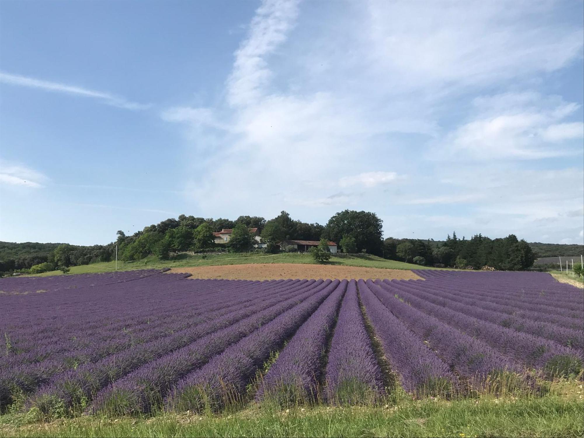 Appartamento Le Figuier Tulette Esterno foto