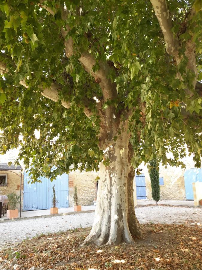 Appartamento Le Figuier Tulette Esterno foto